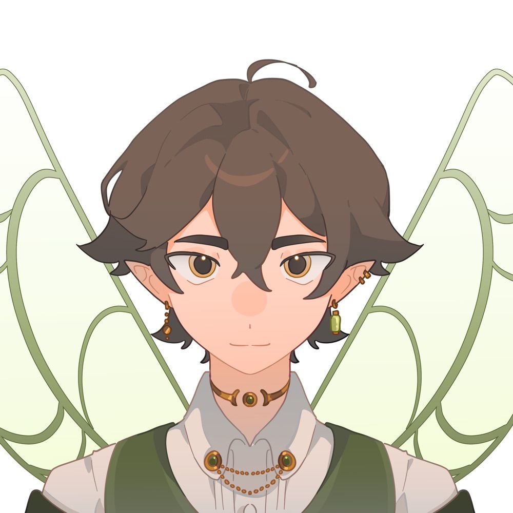 Asled🧝🏼🧚🏼‍♂️Elf-Fairy Sorcerer【 】
