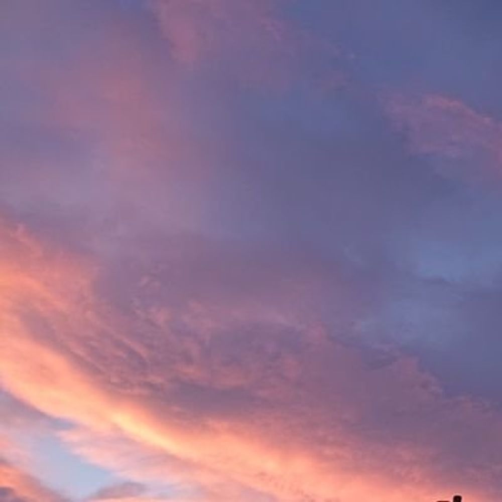 空花
