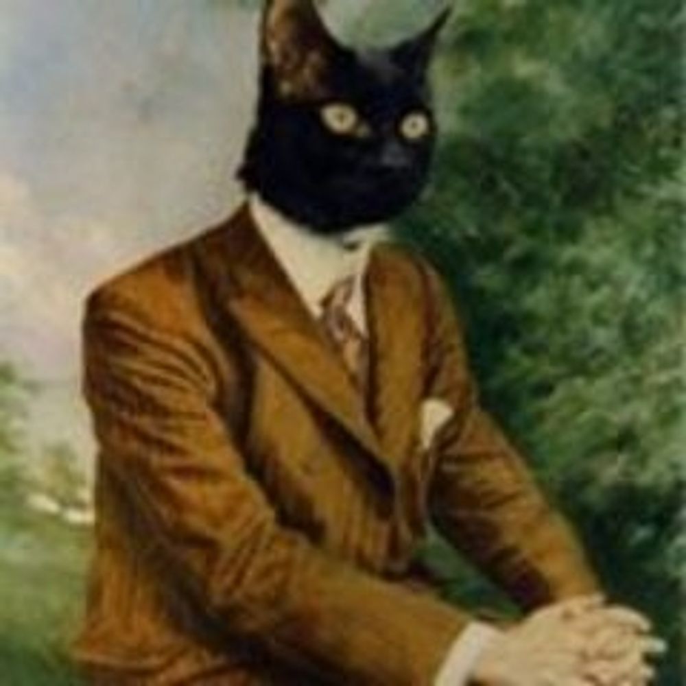 Business Cat's avatar