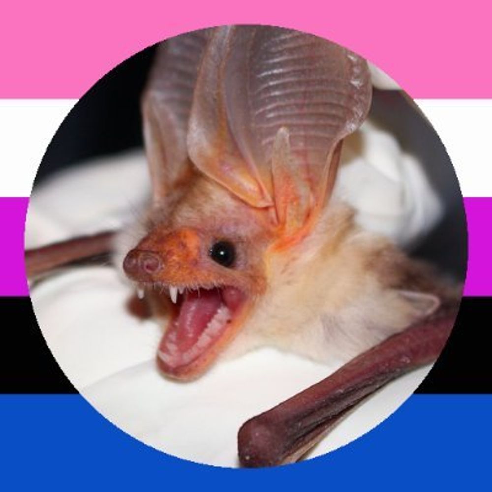 Eloah The Werehog No.1 Fan