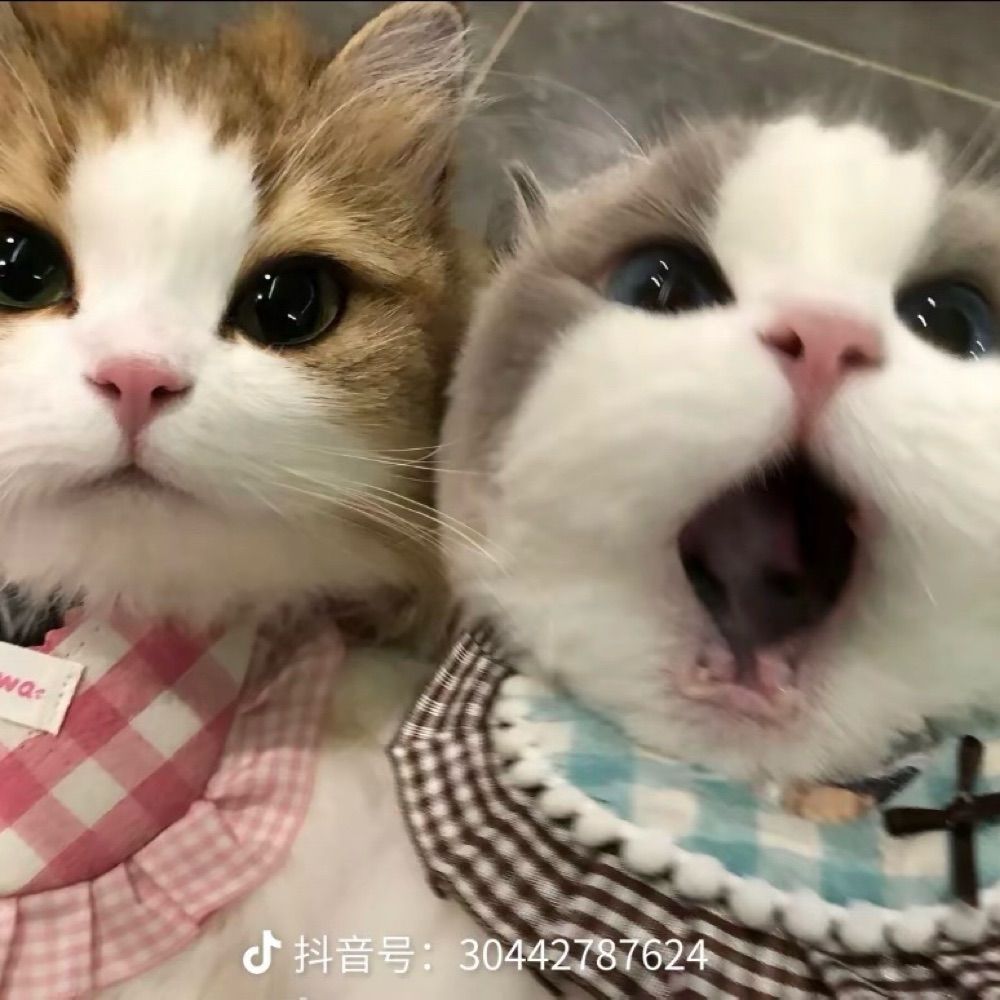 落兮