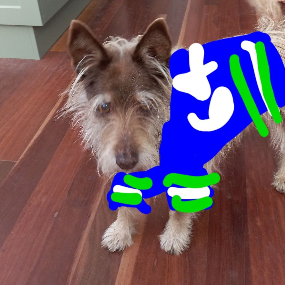 scoobert doobert
