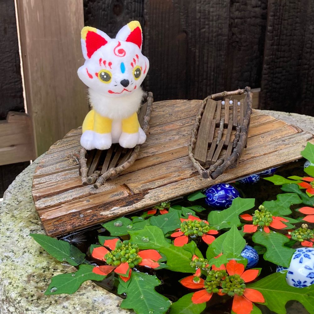 南瓜猫