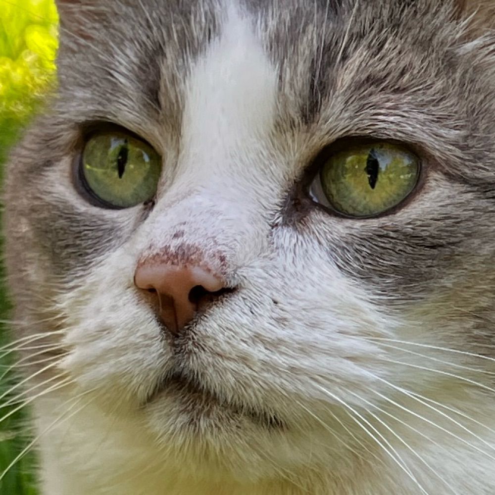 Zoe🌷