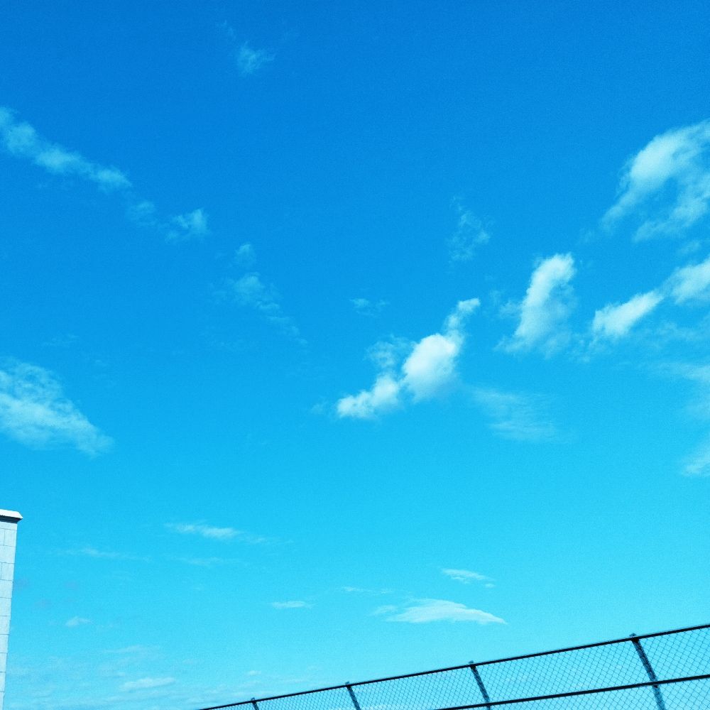オデ