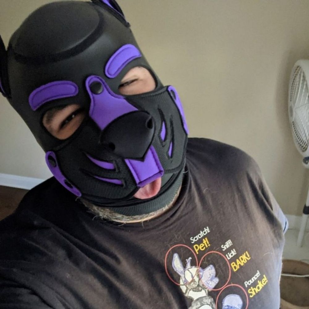 Pup Purple Link