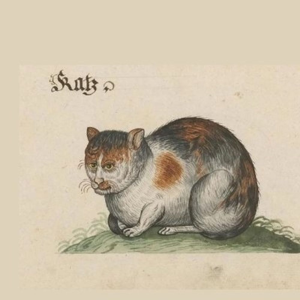 Katz