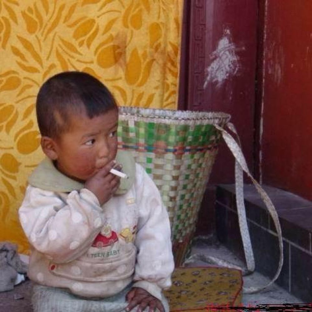 Tenri Kut Mete