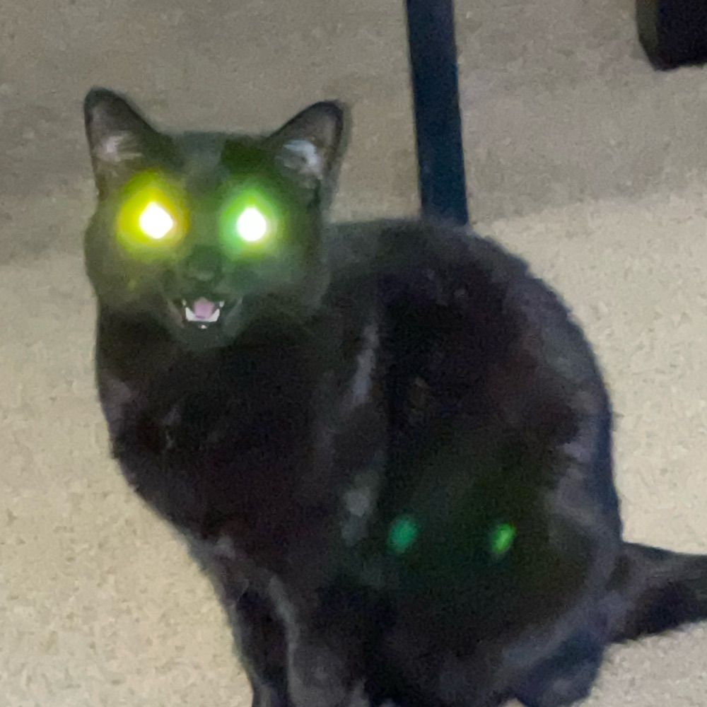 Demon Cat Mom (Rose)