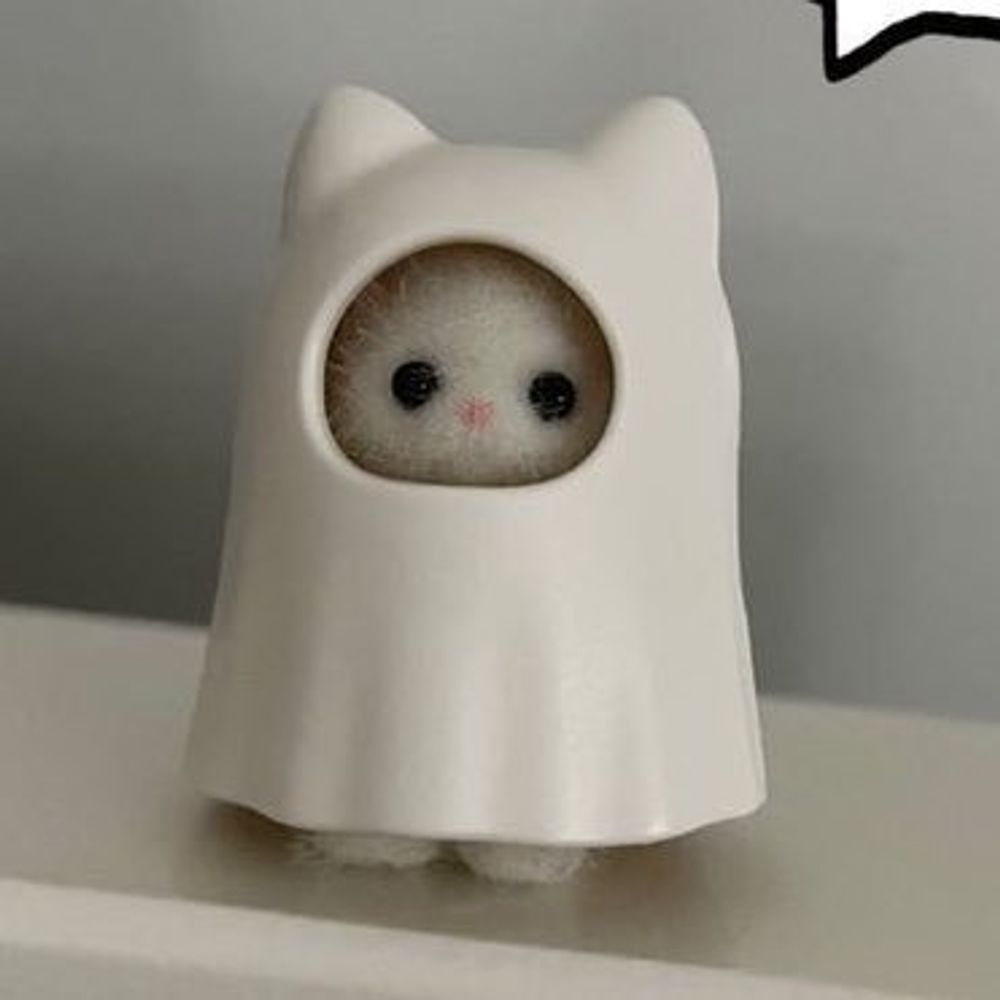 허참뇌