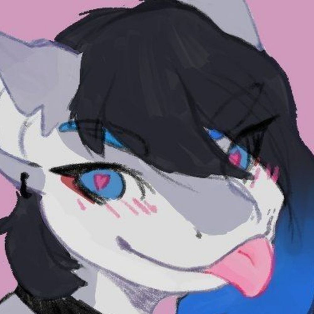 🦈 Shark after bark 🔥