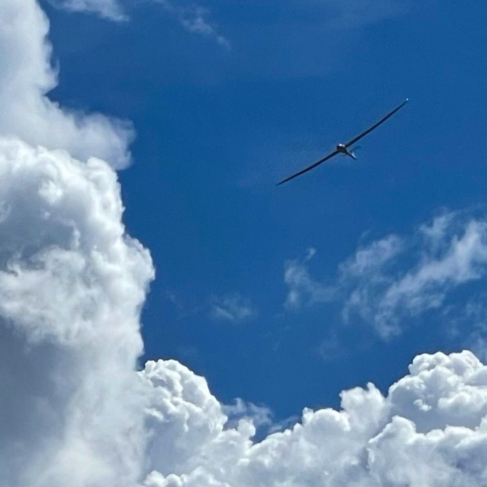 In the Clouds
