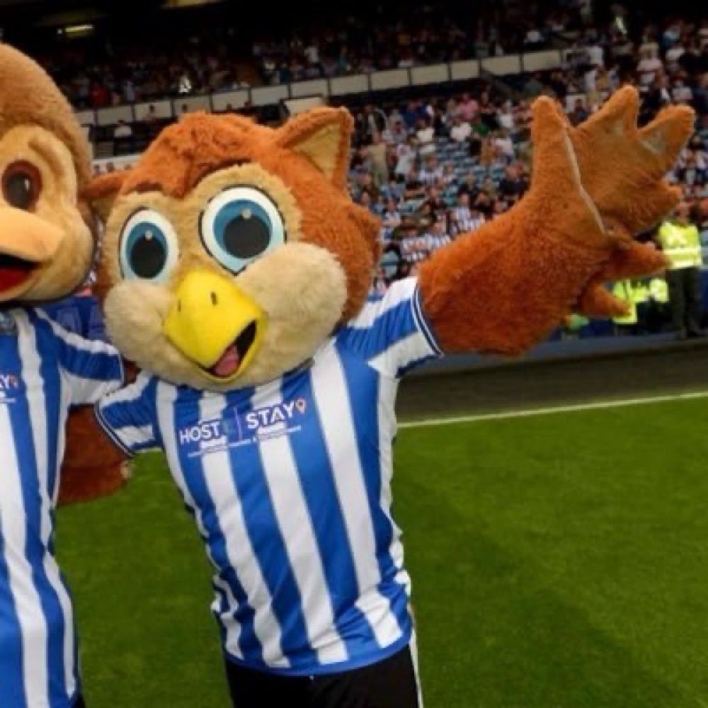 Barney Owl SWFC