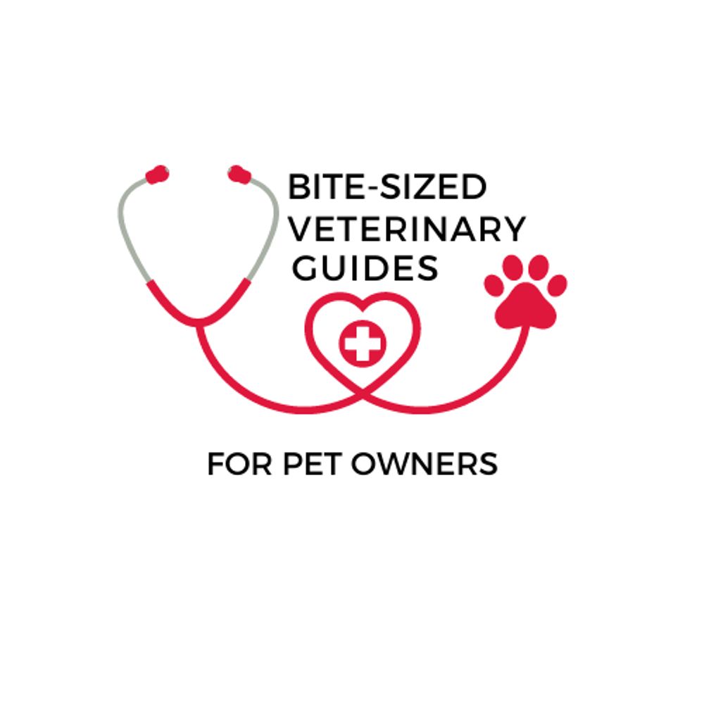 BiteSizedVetGuides