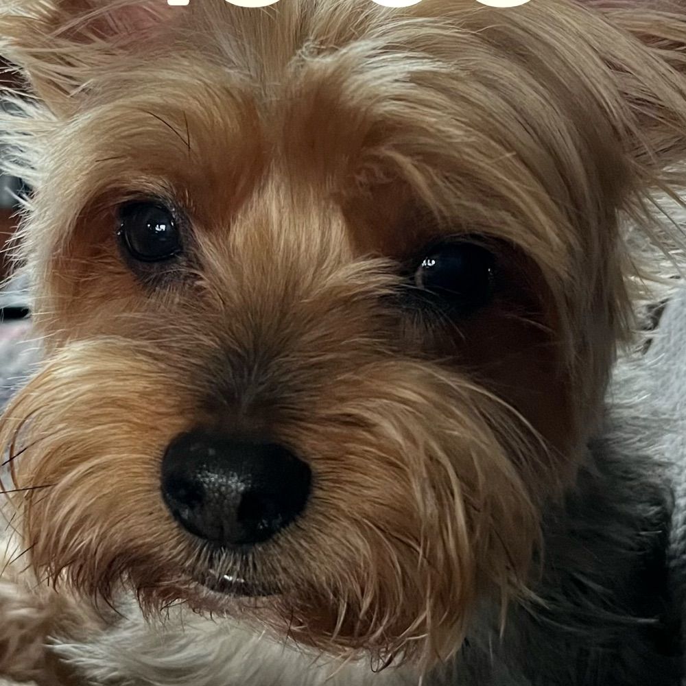 Sam