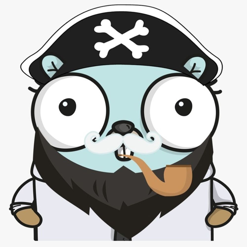 Go developer 