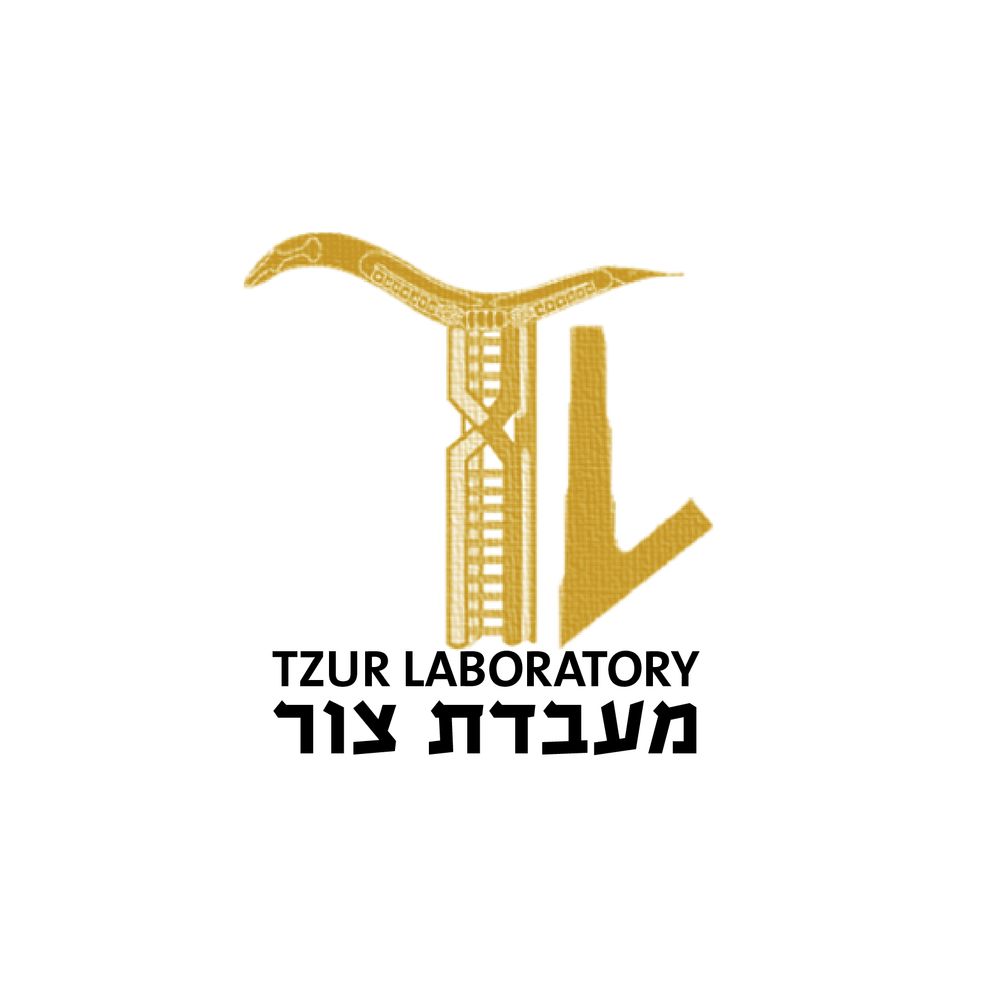Yonatan Tzur