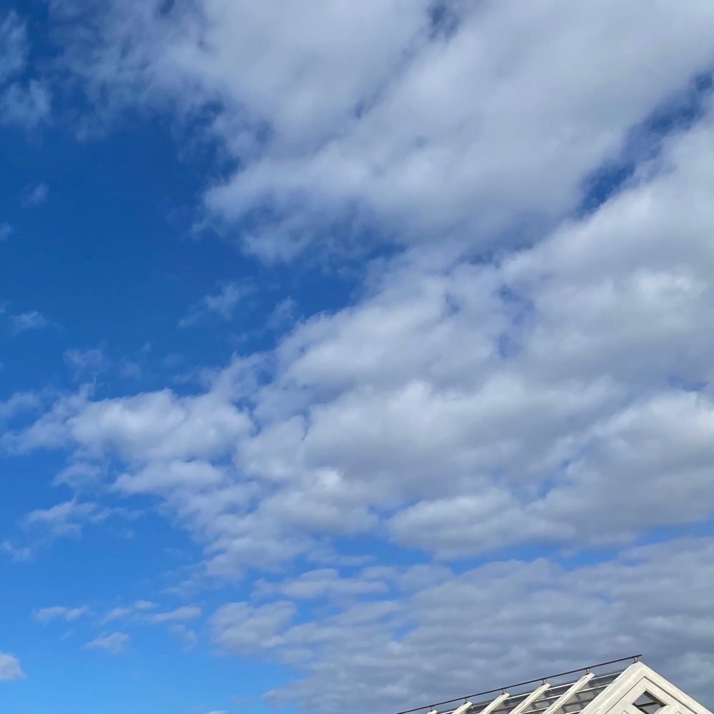 いわし雲
