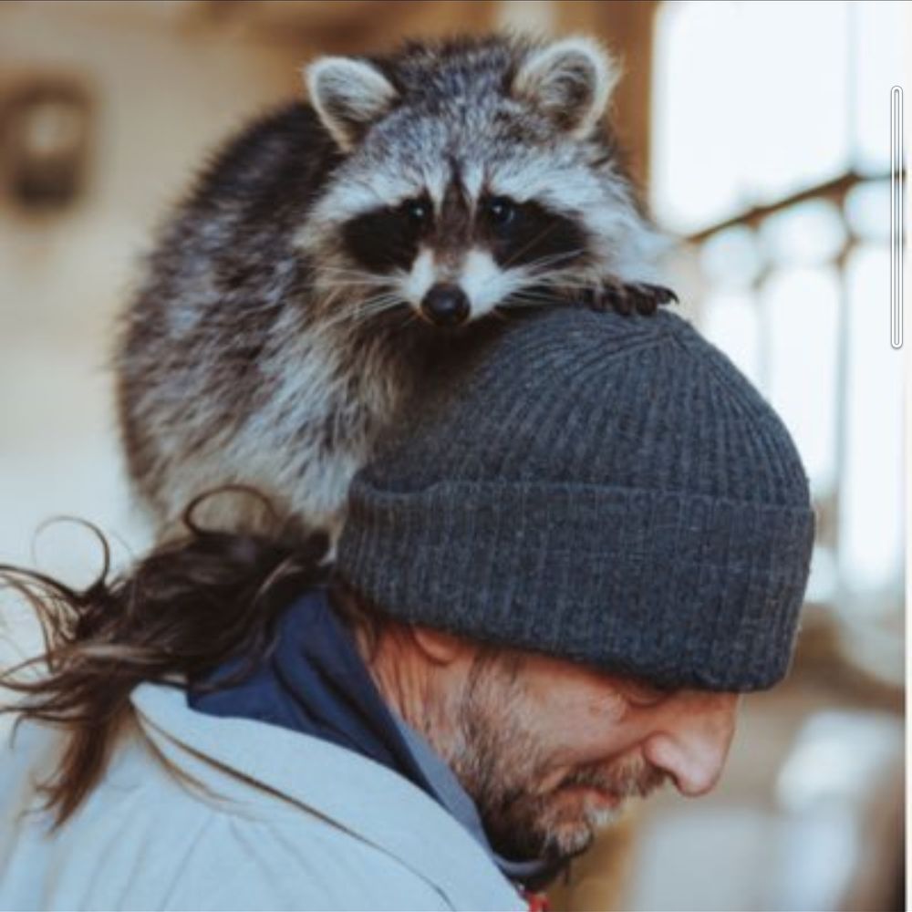 Wildtierhilfe und Wildtierschutz