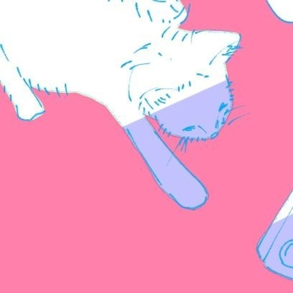 坂李