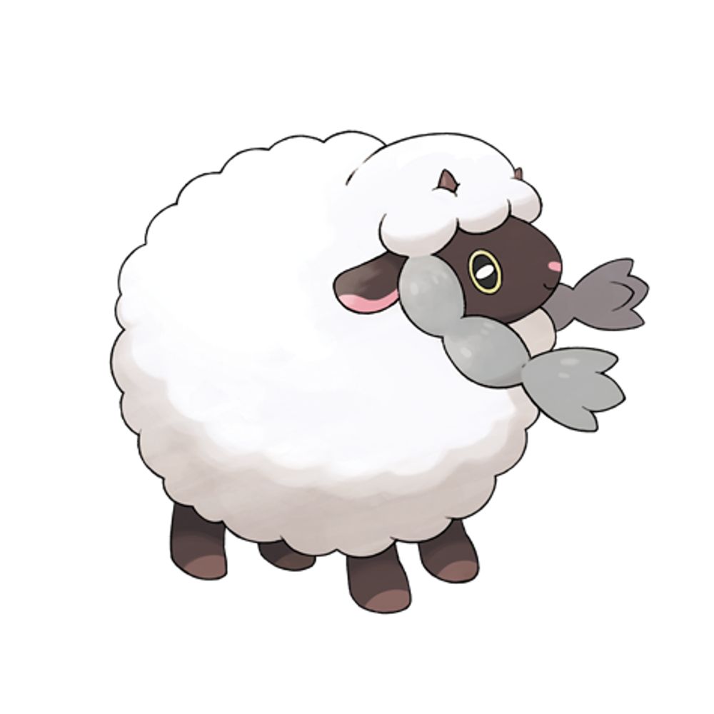Quentin Wool