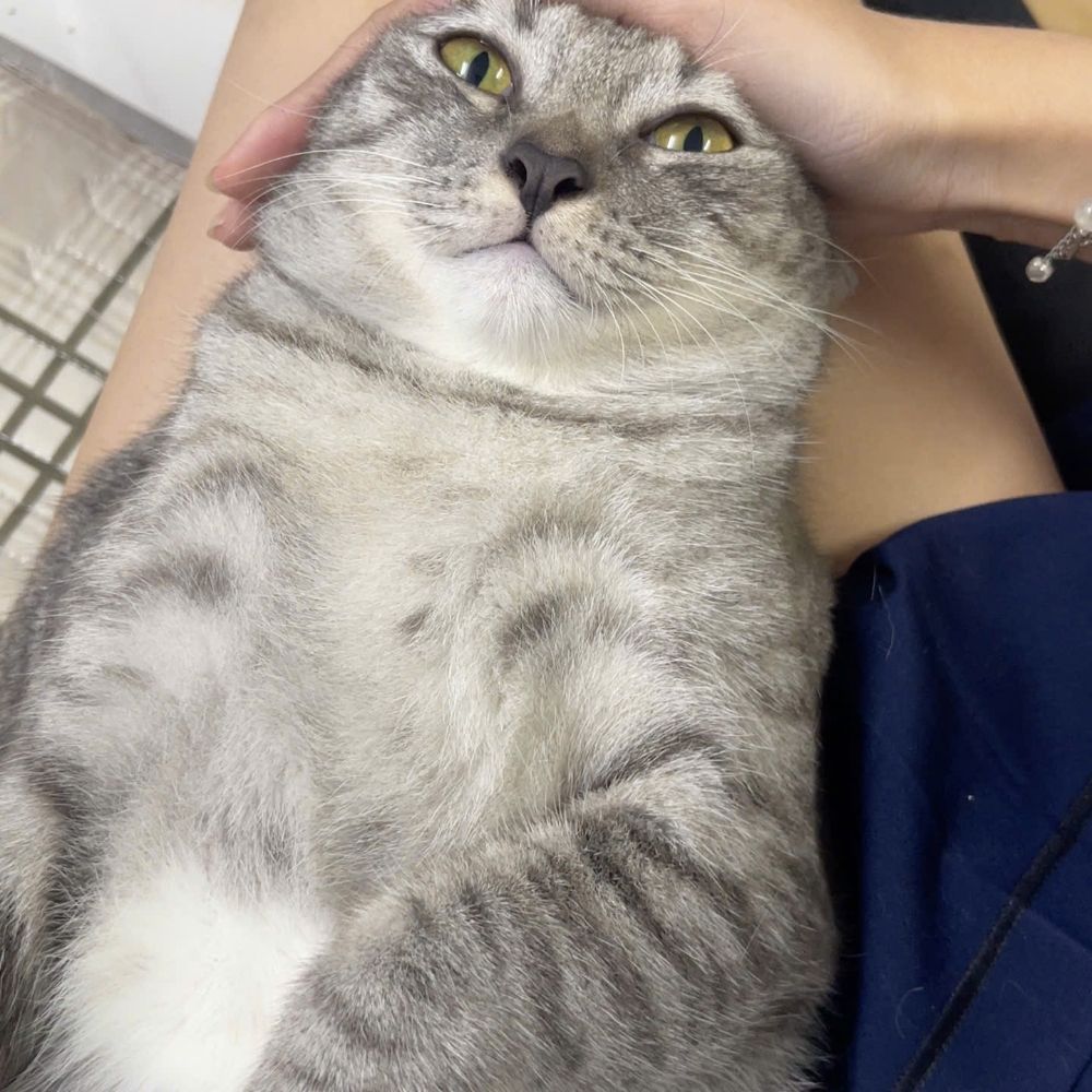 ハルハラ