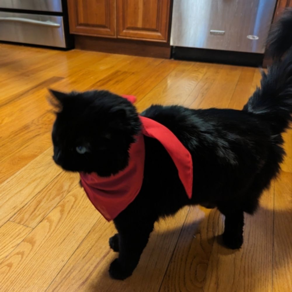 virtualsteve.bsky.social