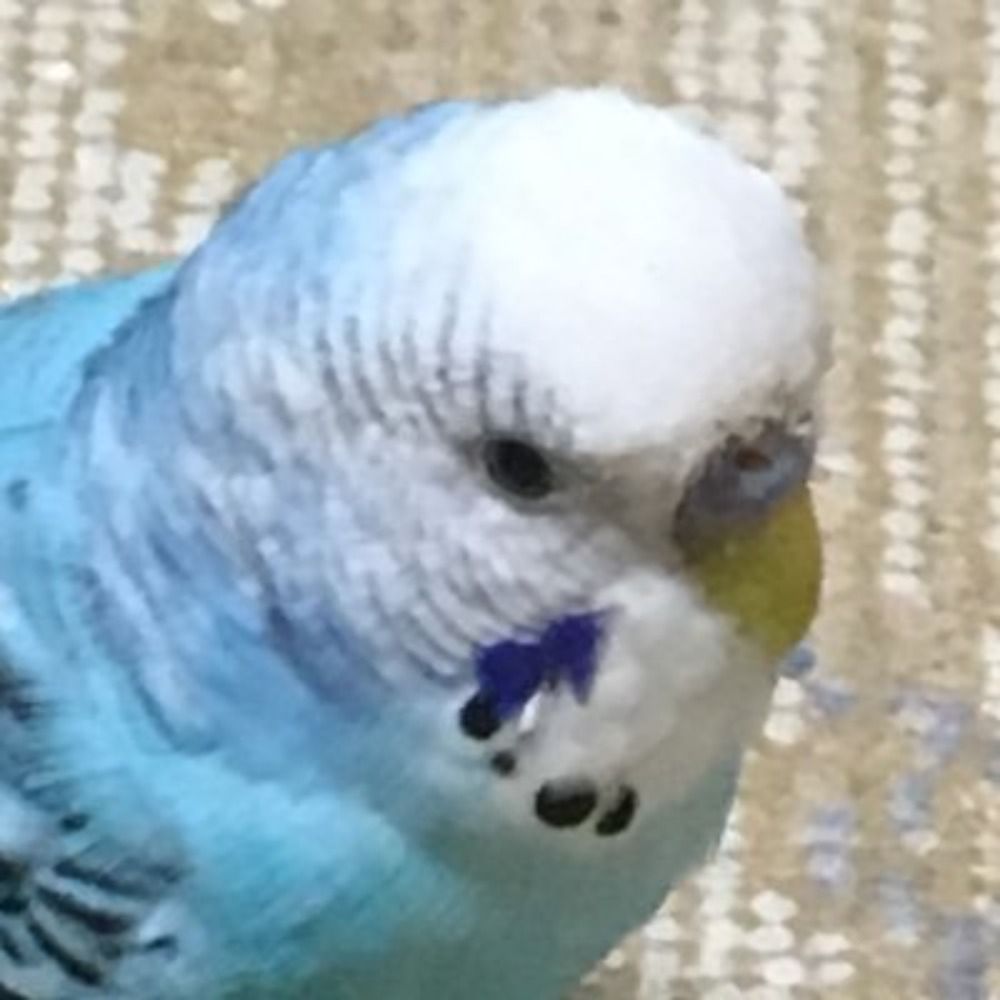 うっちー
