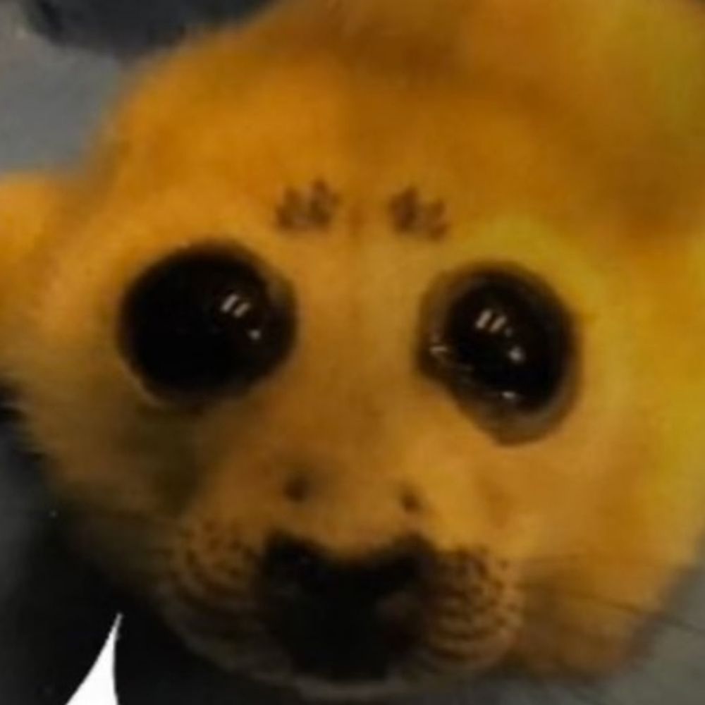 Paddycake :3