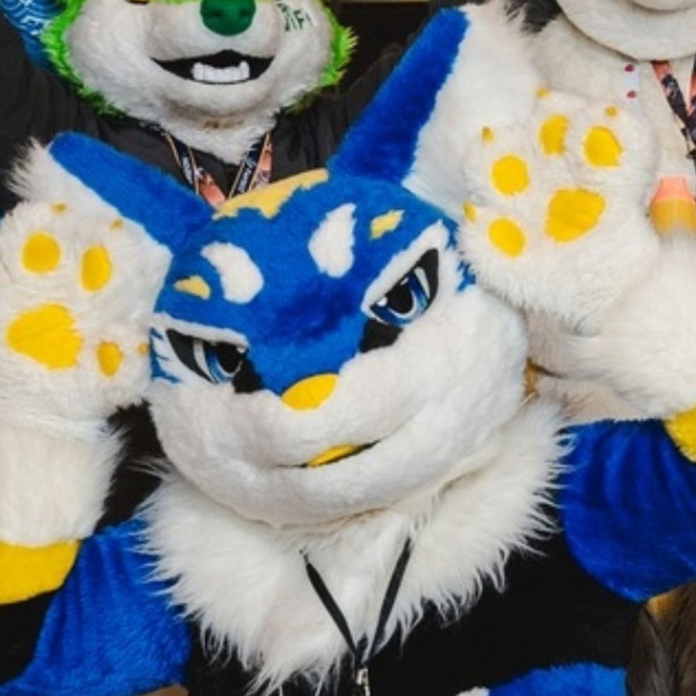 Owla (小O)