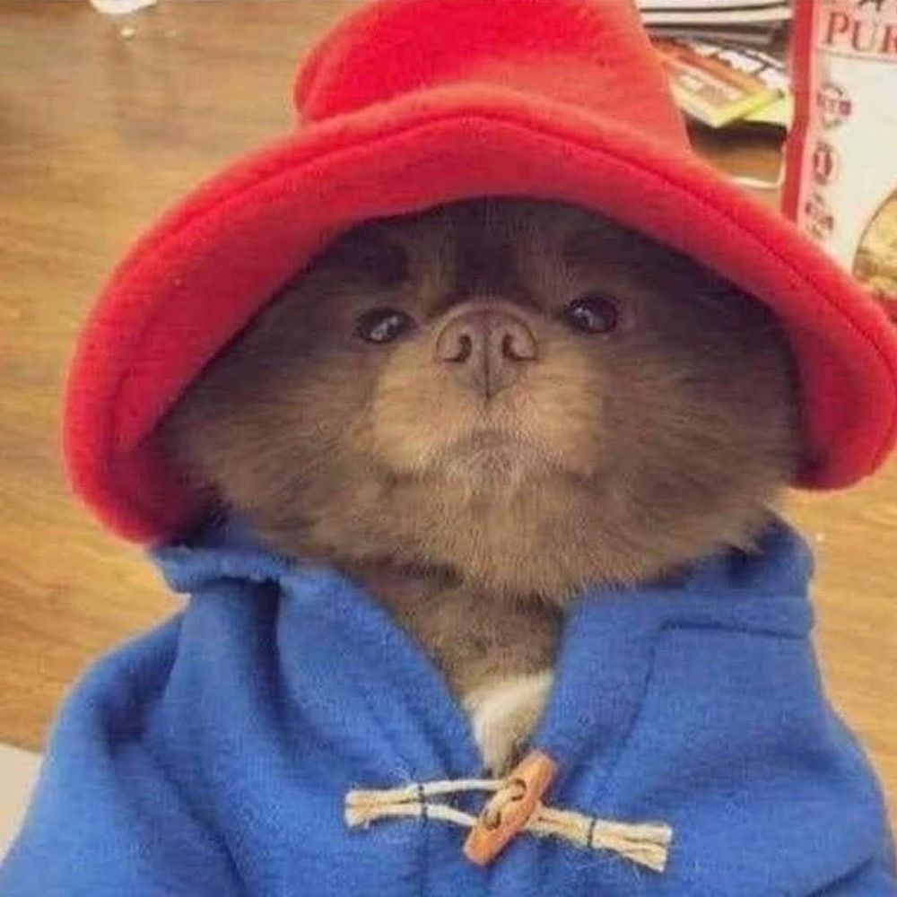 Roy
