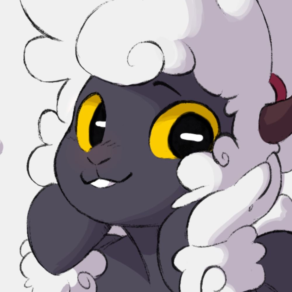 Rooki