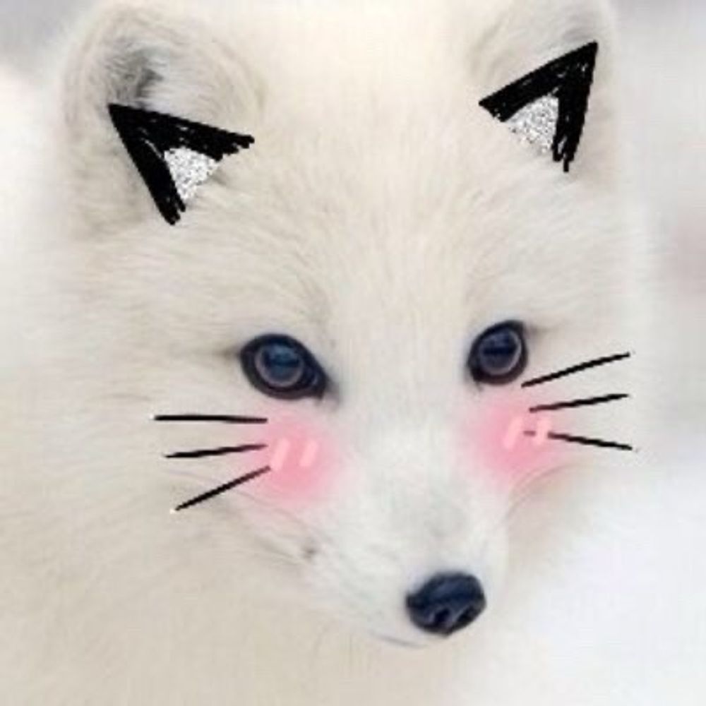 あおい
