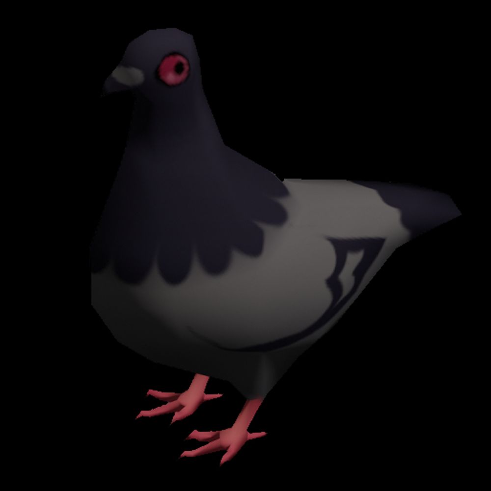 Pigeon