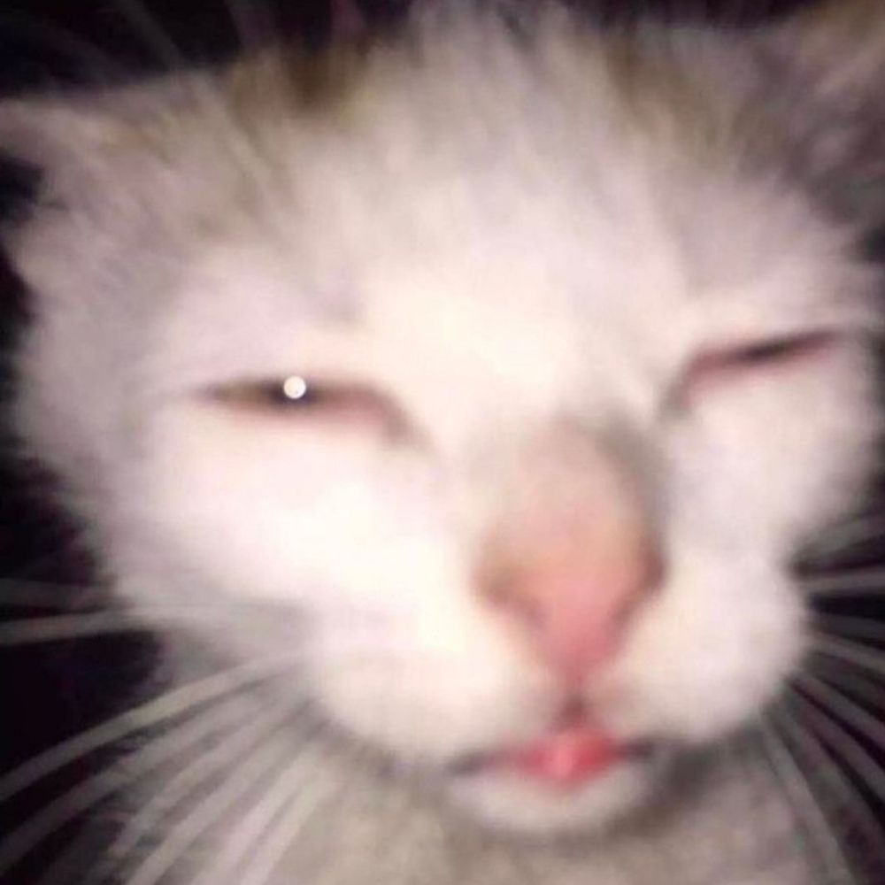 ooga