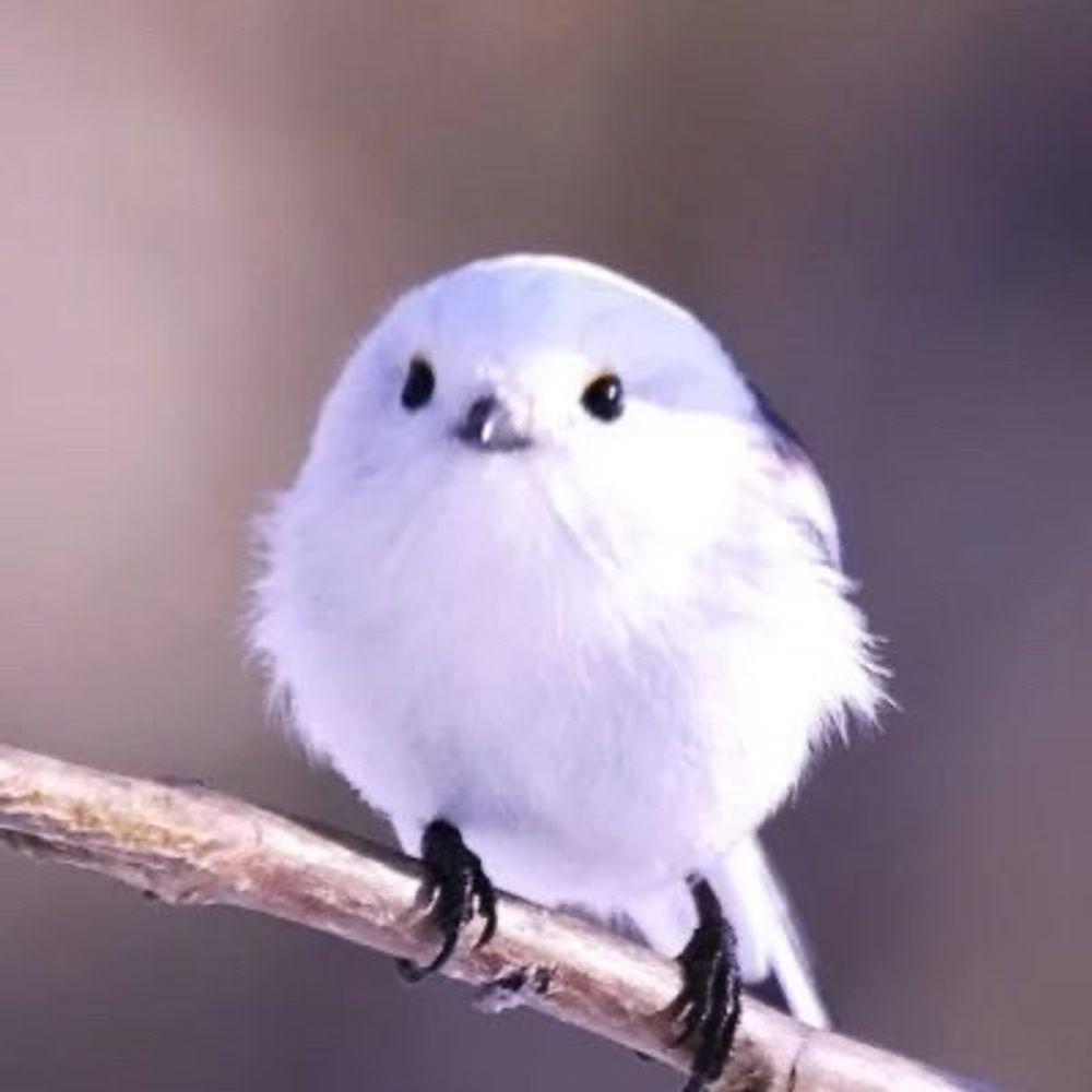 てーく