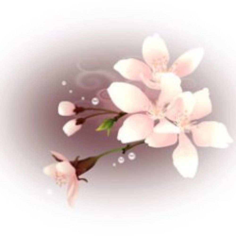 hayuri-sakura.bsky.social