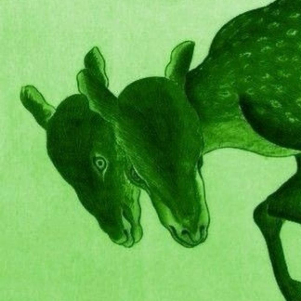 ᶻ 𝗓 𐰁𝕭𝖊𝖑𝖕𝖍𝖊𝖌𝖔𝖗₊ ⊹