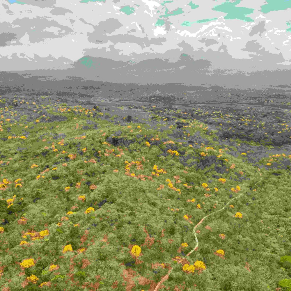 Guanacaste Dry Forest Conservation Fund