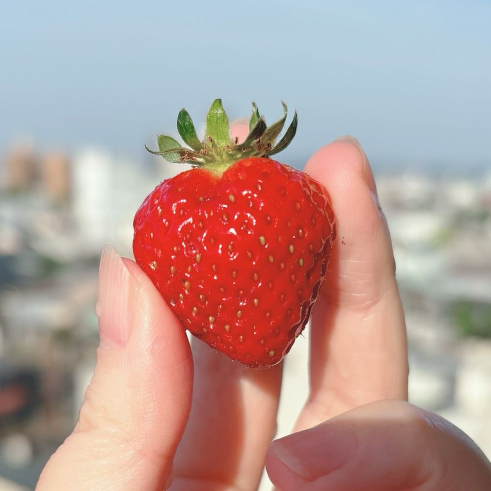 びあ