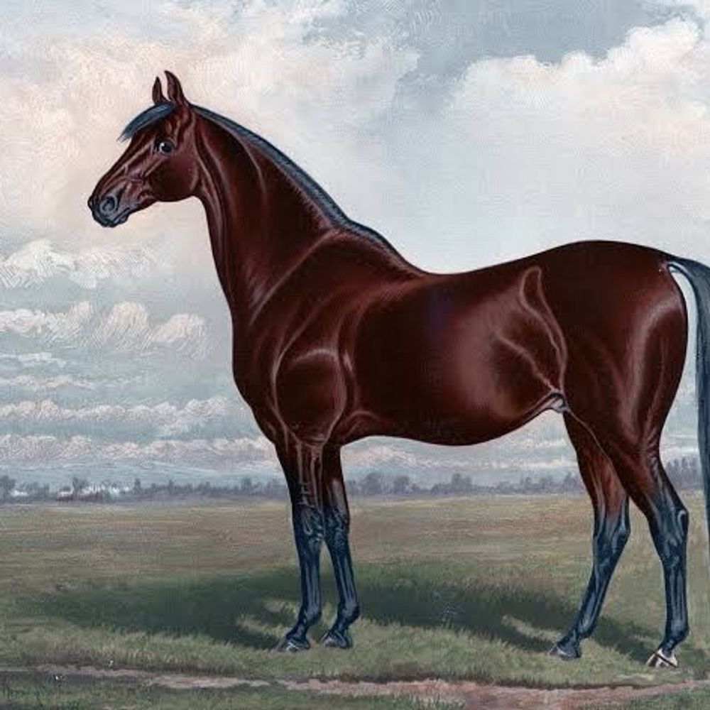 競馬おじさん