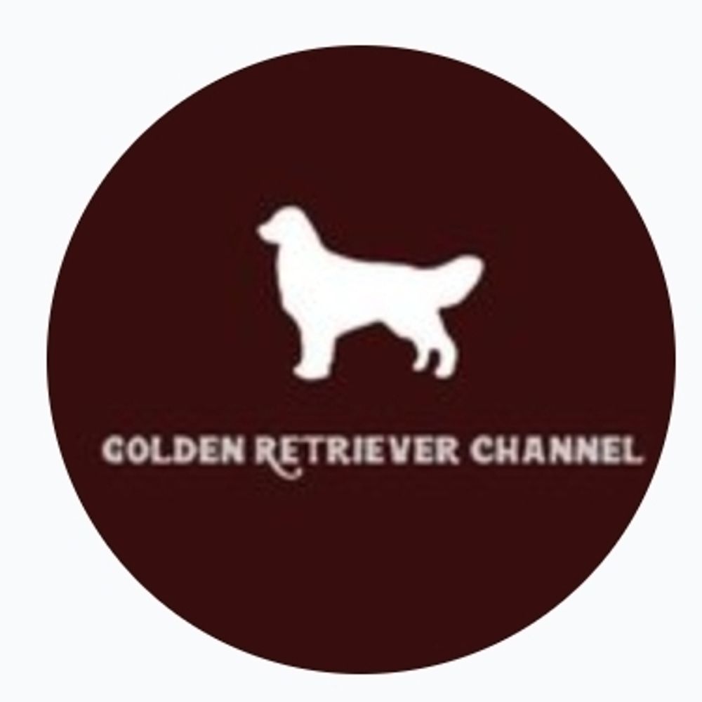 Golden Retriever Channel's avatar