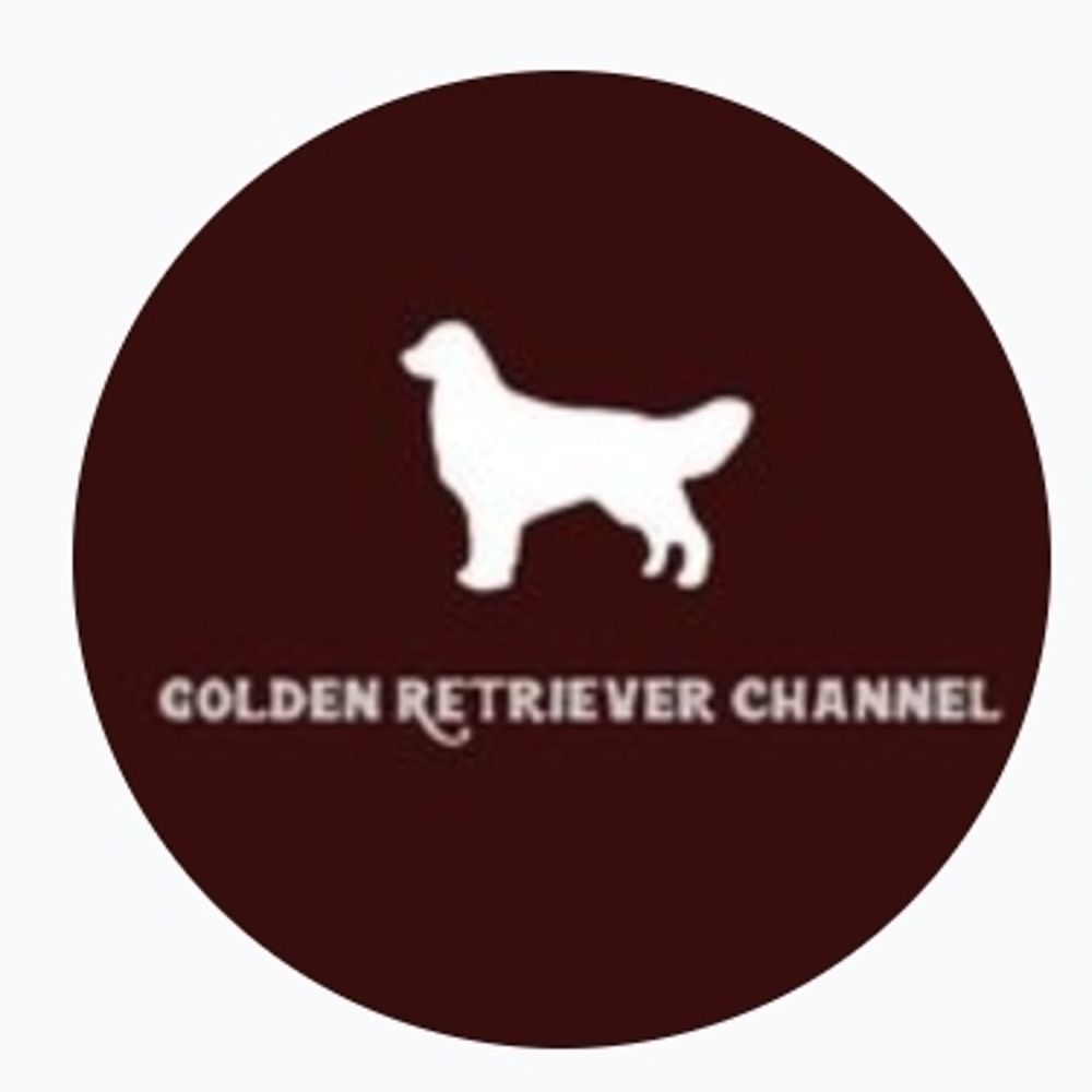 Golden Retriever Channel