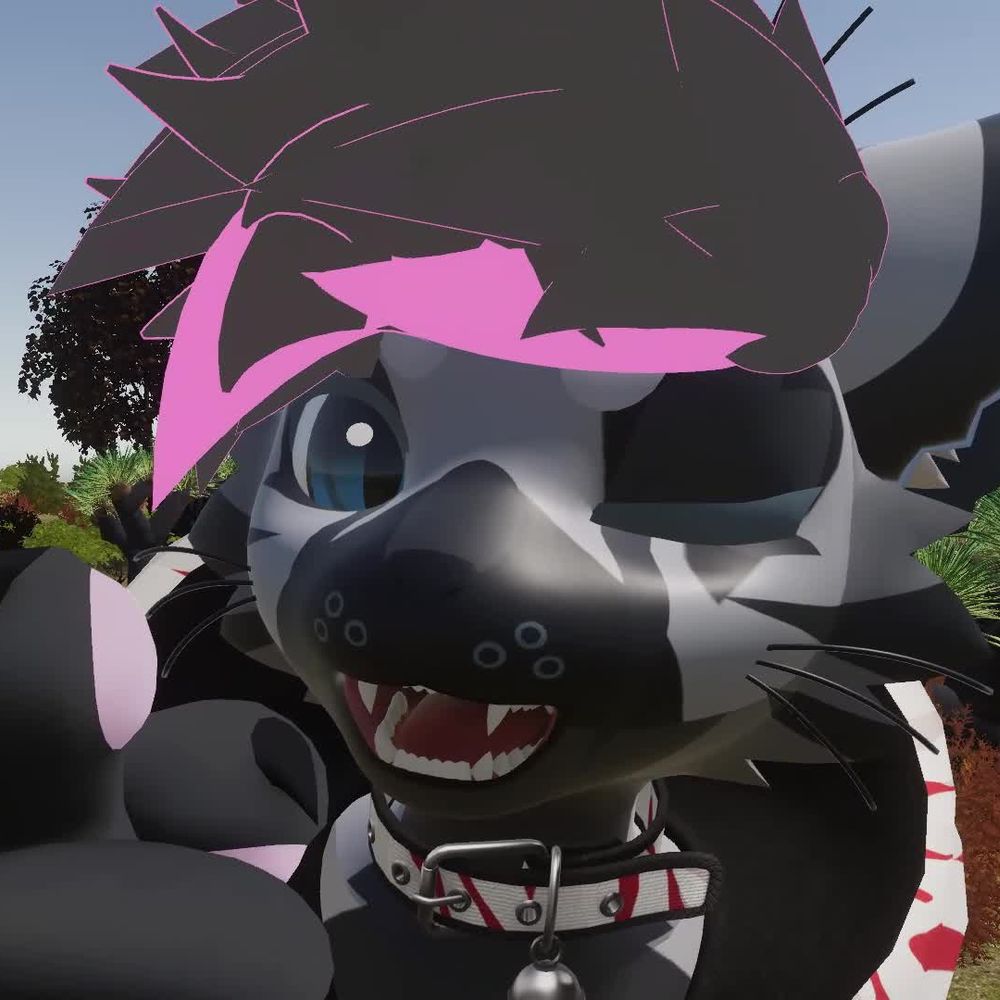 (NTFH)  Nathan The Fox Husky