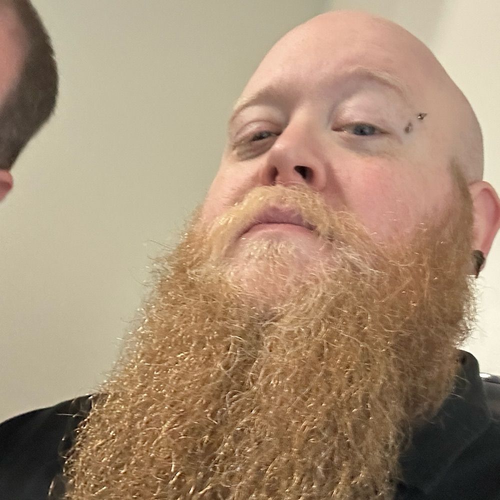 Profile picture baldbeardedbard.bsky.social