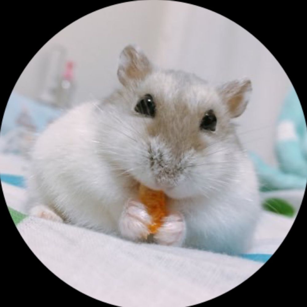 たぴこ