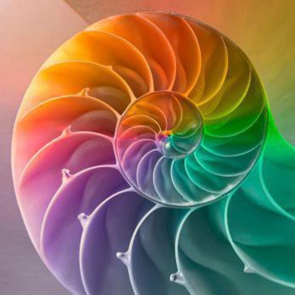 nautilicious