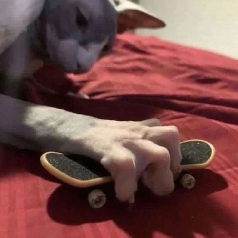 SlimDong