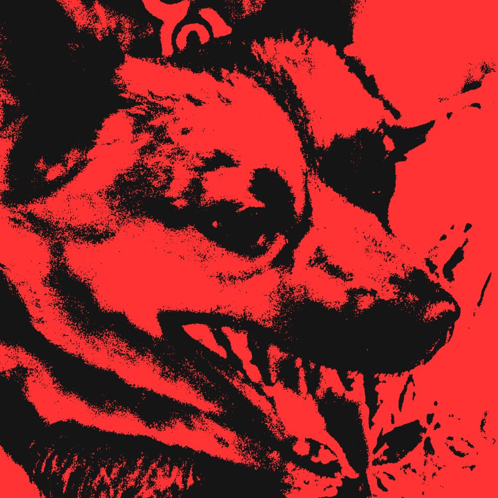 NyoPo