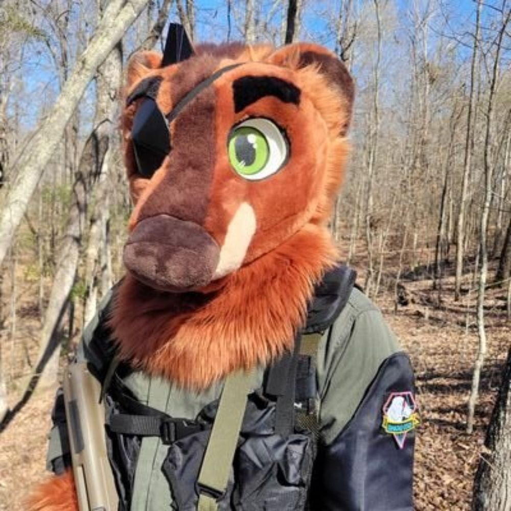 Punished "Hans" Bear